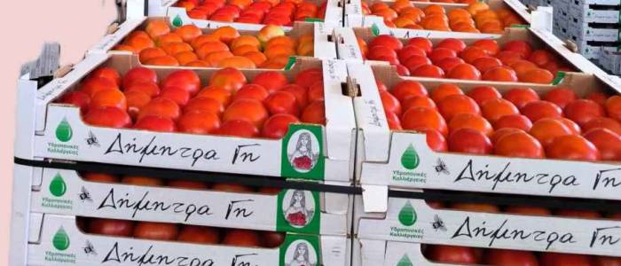 1. Αγροκτήματα Δήμητρα – Σέρρες 1. Αγροκτήματα Δήμητρα - Σέρρες